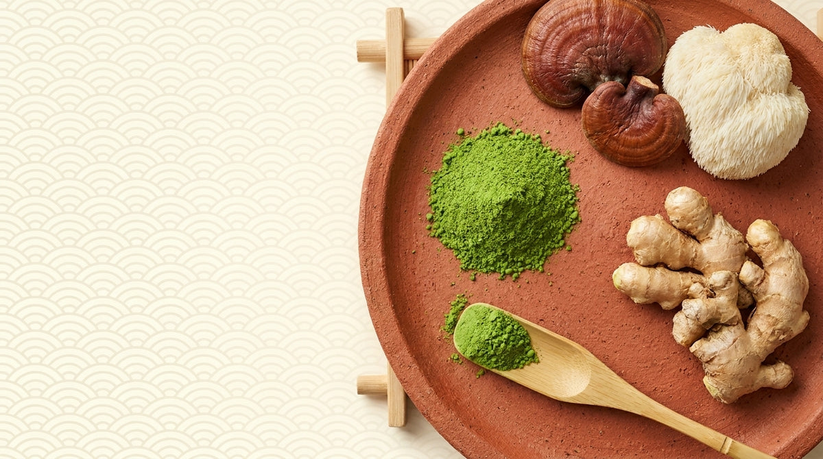 ROOTED IN SERENITY. MADE FOR MODERN LIFE.